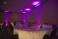 Click to Enlarge Pink Uplighting